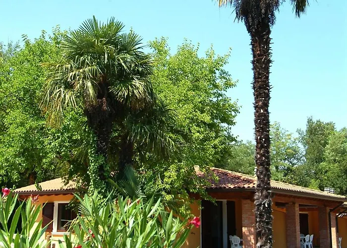 Camping Zocco Manerba del Garda